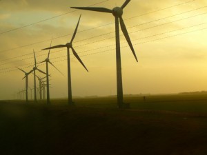 windmills and power lines in field