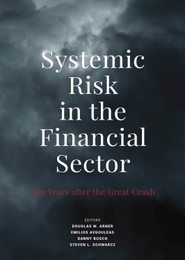 Book Cover-Systemic Risk in the Financial Sector: Ten Years After the Great Crash
