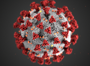 coronavirus