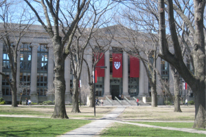 Innovative and Outstanding Programs and Faculty