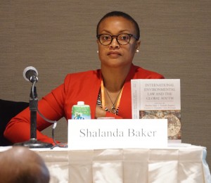 AALS Section on International Law Chair Shalanda Baker at an International  Environmental Law “crosscutting program” at the 2016 AALS Annual Meeting