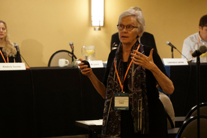 Susan J. Bryant, City University of New York School of Law, during the plenary session on teaching.