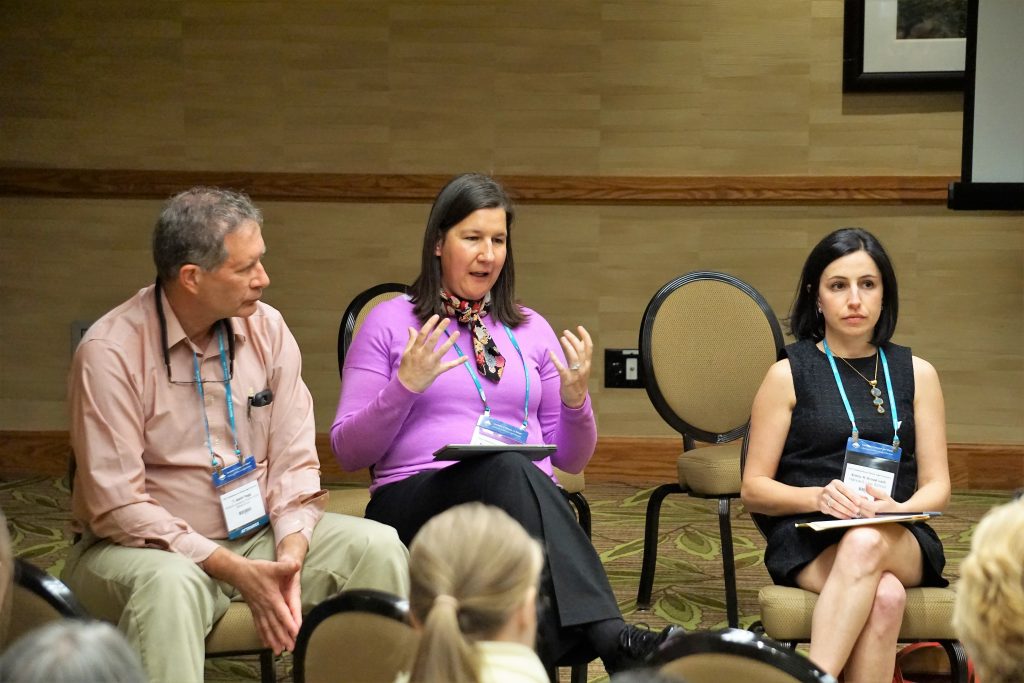 Keith Fogg (Villanova University Charles Widger School of Law), Nicole B. Friederichs (Suffolk University Law School), and Emily M. Broad Leib (Harvard Law School) at the session "Grow-Your-Own Solutions: Developing and Teaching Alternative Paths to Justice Despite Weak Law/Bad Law/No Law."