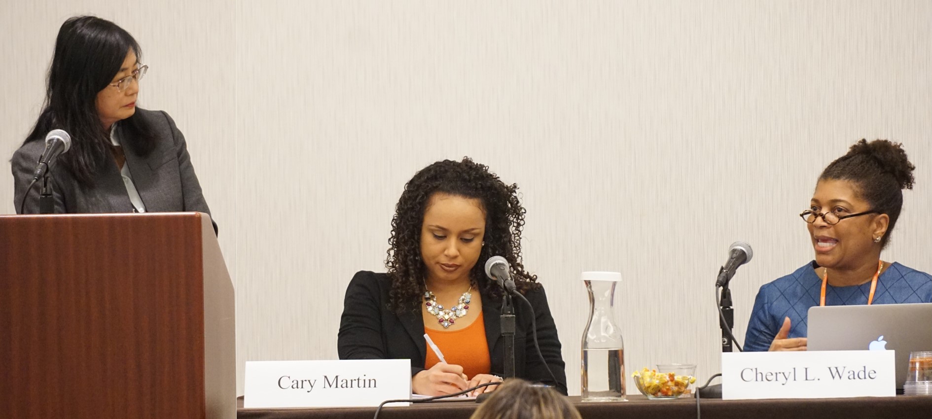 Section on Minority Groups panel at the 2015 AALS Annual Meeting