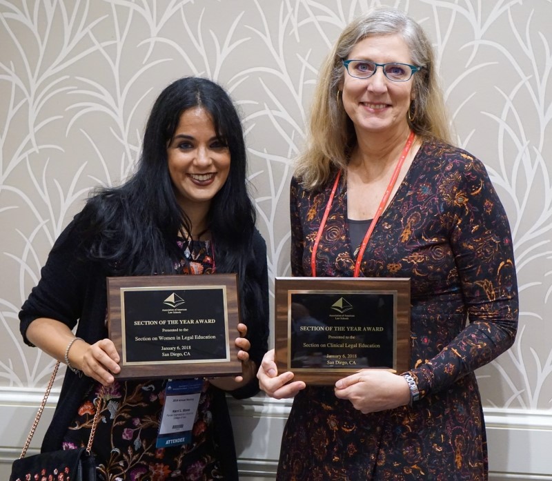 Kerri L. Stone, Florida International University College of Law, and Lisa R. Bliss, Georgia State University College of Law