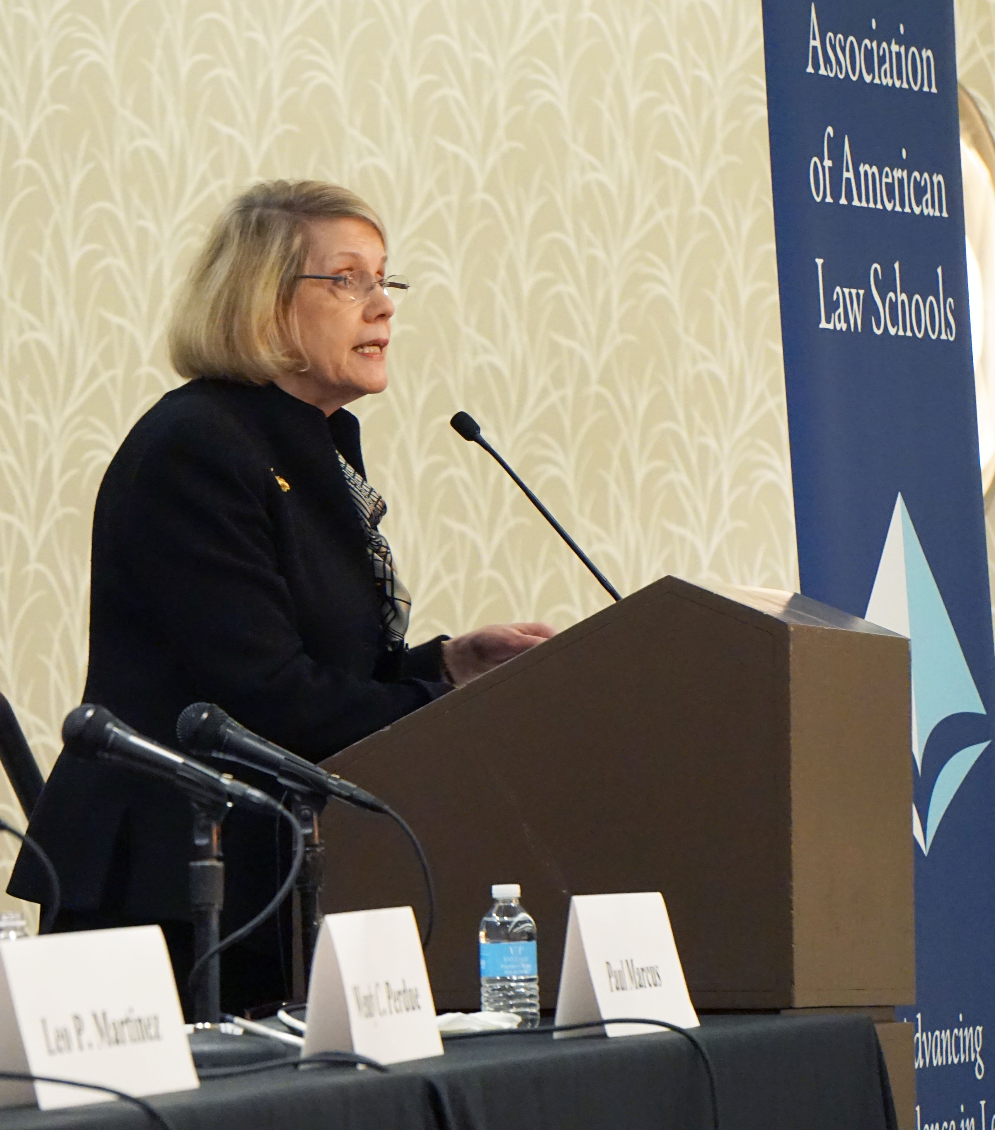 Judy Areen at AALS 2018